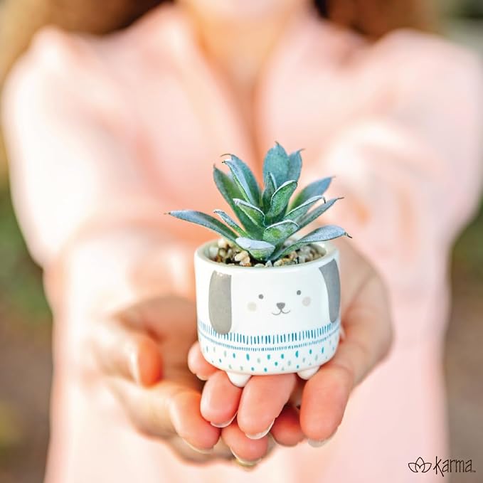 Karma, Shaped Succulent Pot, Artificial Faux Mini Succulents in Ceramic Pot - Image 6