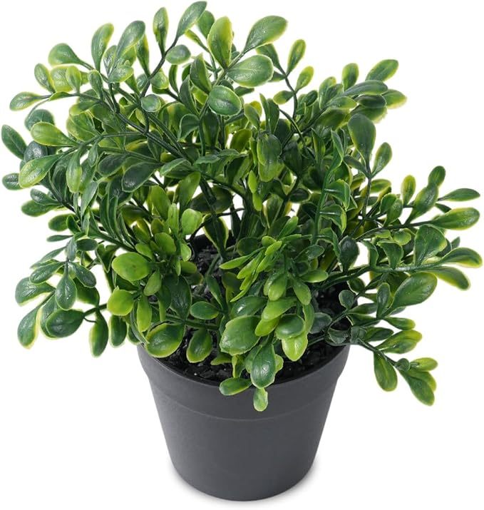 Fake Eucalyptus Potted Artificial Plant – Small Faux Eucalyptus - Image 7