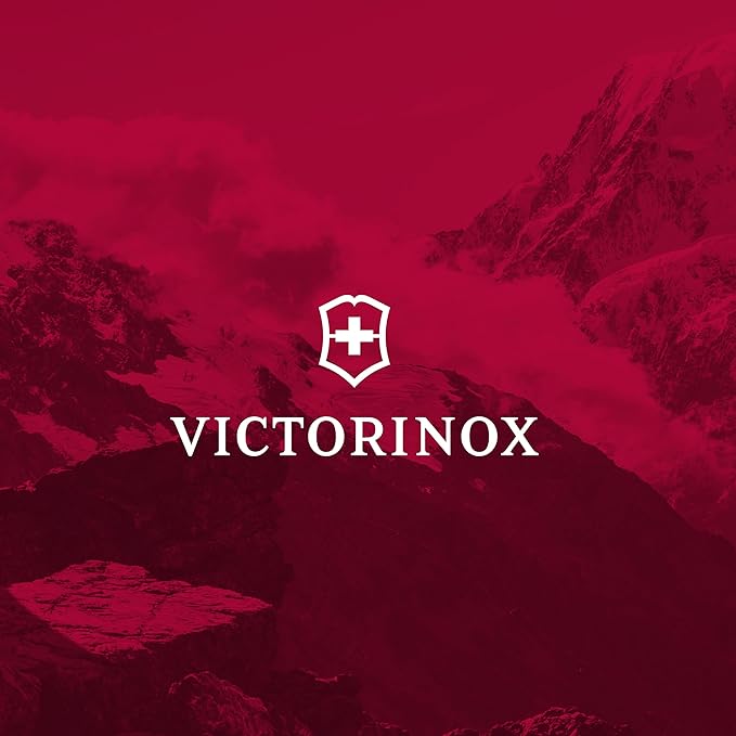 Victorinox Honing Steel Black Plastic Handle, 10-Inch, Combination Cut (40582)