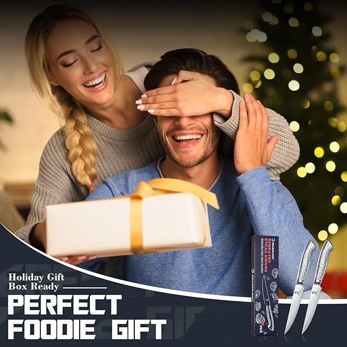 DRAGON RIOT Steak Knives Set of 2,Japanese Stainless Steel Steaks Knife With Serrated Edge Dinner Knife Diswasher Safe Steak Knives with Box