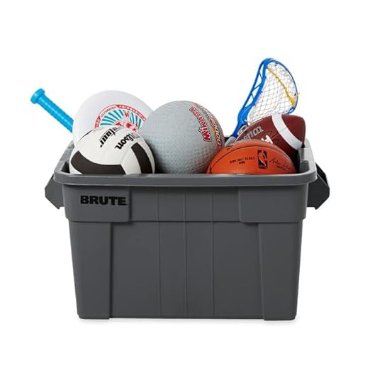 Rubbermaid Commercial Products BRUTE Tote Storage Bin with Lid, 20-Gallon, Gray, Rugged/Reusable Boxes for Garage/Moving/Camping/Basement Storage/Kitchen/Warehouse/Outdoor, Pack of 1