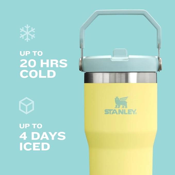 STANLEY IceFlow Flip Straw Tumbler with Handle 30 oz | Twist On Lid and Flip Up Straw | Leak Resistant Water Bottle | Insulated Stainless Steel |BPA-Free | Tigerlily