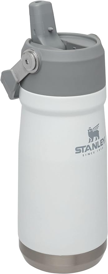 STANLEY IceFlow Flip Straw Water Bottle 17 oz | Built-In Straw for Travel and Sports | Lightweight and Leak Resistant | Insulated Stainless Steel | BPA-Free | Polar
