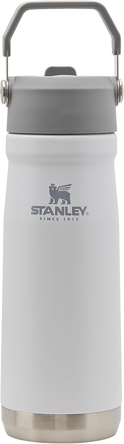 STANLEY IceFlow Flip Straw Water Bottle 22 oz | Built-In Straw for Travel and Sports | Lightweight and Leak Resistant | Insulated Stainless Steel | BPA-Free | Polar