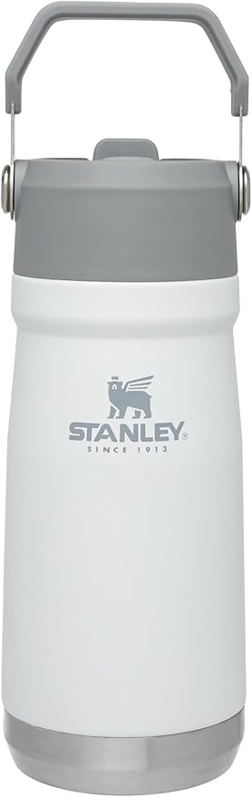 STANLEY IceFlow Flip Straw Water Bottle 17 oz | Built-In Straw for Travel and Sports | Lightweight and Leak Resistant | Insulated Stainless Steel | BPA-Free | Polar