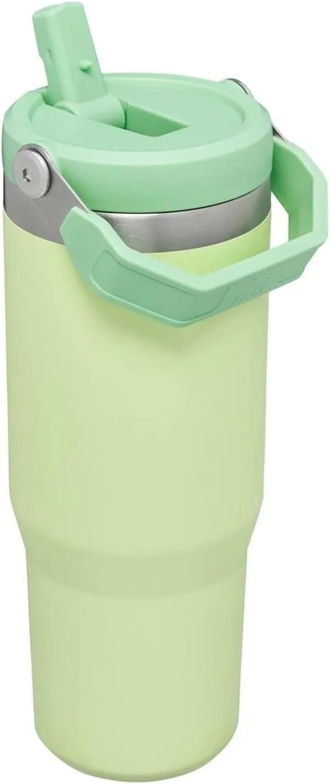 Stanley IceFlow Stainless Steel Tumbler - Vacuum Insulated Water Bottle for Home, Office or Car Reusable Cup with Straw Leak Resistant Flip Cold for 12 Hours or Iced for 2 Days