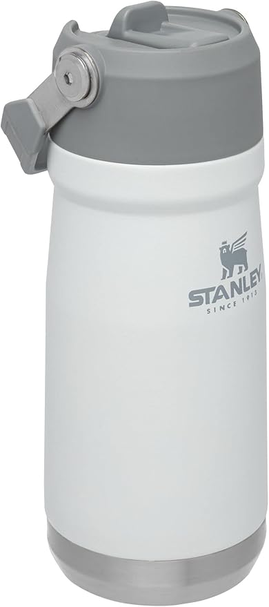 STANLEY IceFlow Flip Straw Water Bottle 17 oz | Built-In Straw for Travel and Sports | Lightweight and Leak Resistant | Insulated Stainless Steel | BPA-Free | Polar