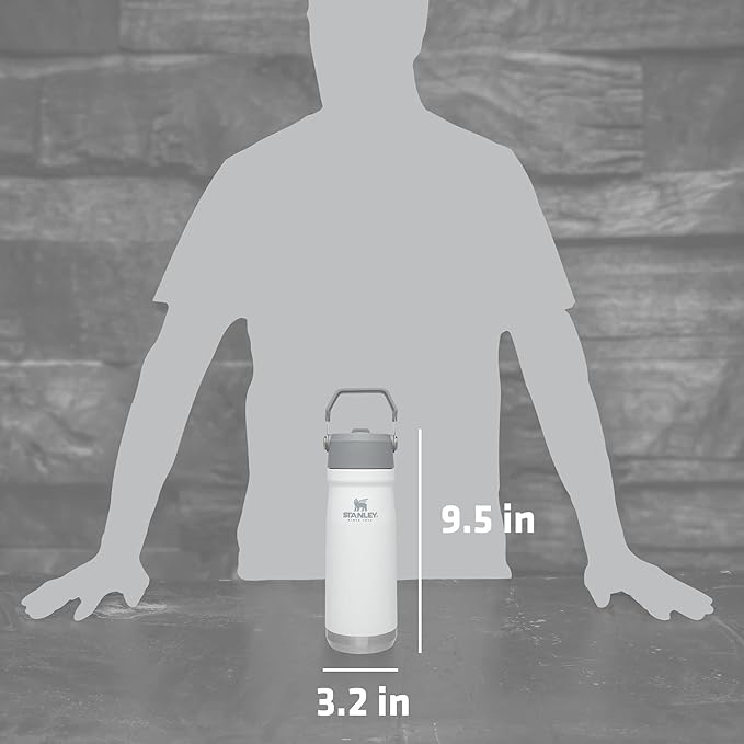 STANLEY IceFlow Flip Straw Water Bottle 22 oz | Built-In Straw for Travel and Sports | Lightweight and Leak Resistant | Insulated Stainless Steel | BPA-Free | Polar