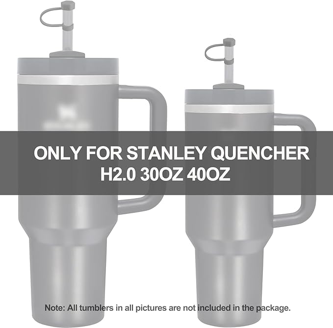 Silicone Spill Stopper Set Compatible with Stanley Cup 2.0 30oz & 40oz with Straw Cover (Set of 2, Grey)