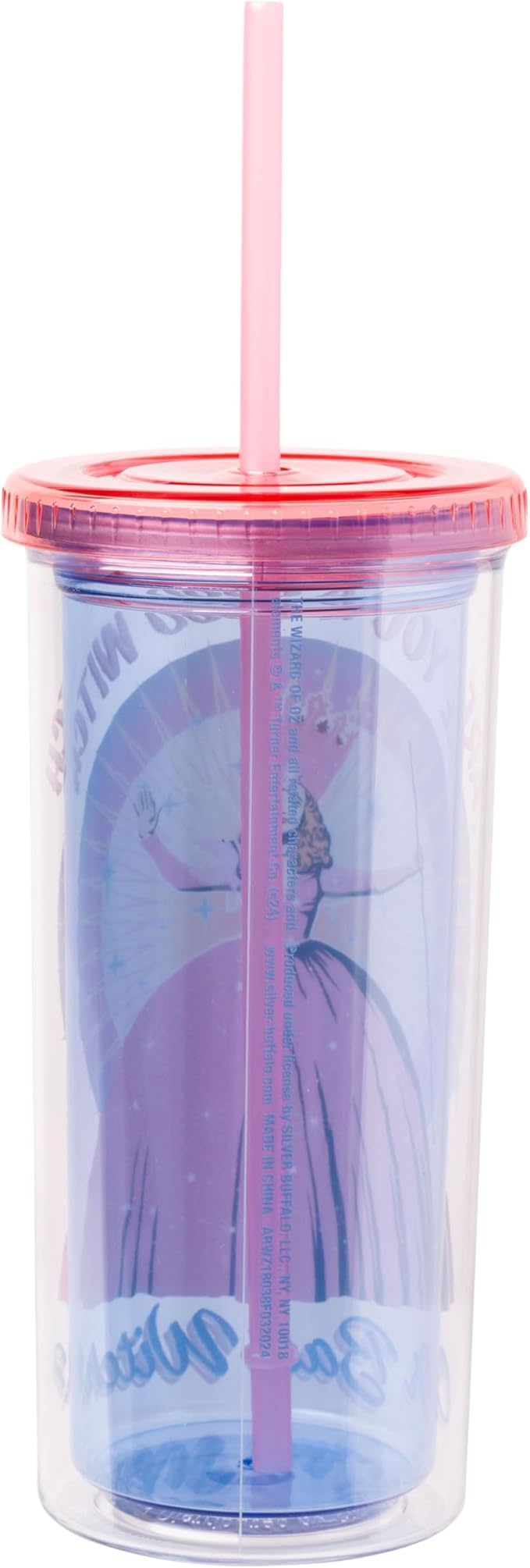 Silver Buffalo The Wizard of Oz Featuring Glinda Are You a Good Witch or a Bad Witch Plastic Tall Cold Cup with Lid and Straw, 20 Ounces (Pack of 12)