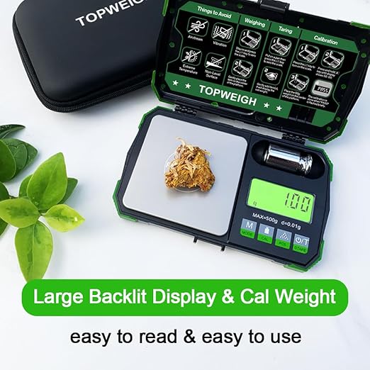 Pocket Scale, Dual Powered, Precision Gram Jewelry Scale with Zipper Case, Digital Small Coin Scale, Large Backlight Display, 500g x 0.01g, 6 Weighing Units,Cal Weight, USB Cable Included