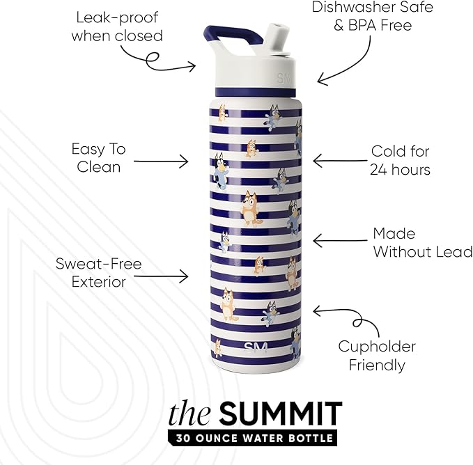 Simple Modern Summit Water Bottle with Straw Lid | Bluey 30oz Leak Proof Stainless Steel Insulated Cup | Gifts for Her Him | Bluey Stripes