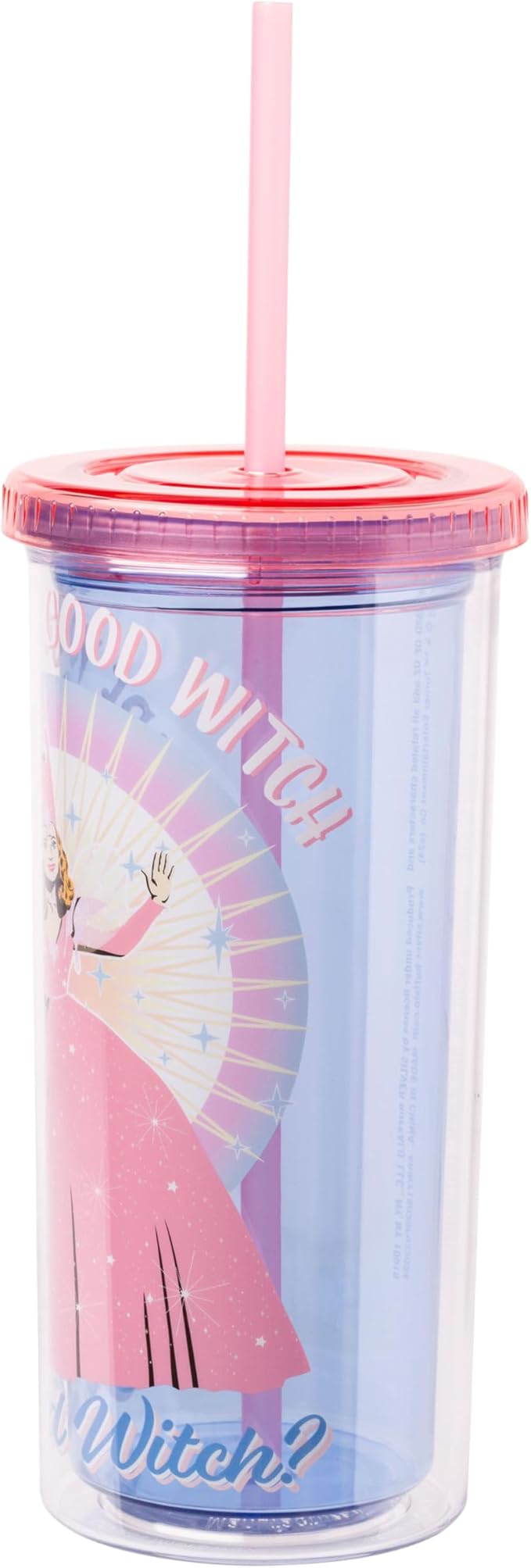 Silver Buffalo The Wizard of Oz Featuring Glinda Are You a Good Witch or a Bad Witch Plastic Tall Cold Cup with Lid and Straw, 20 Ounces (Pack of 12)