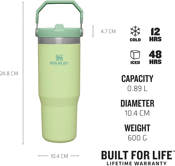 Stanley IceFlow Stainless Steel Tumbler - Vacuum Insulated Water Bottle for Home, Office or Car Reusable Cup with Straw Leak Resistant Flip Cold for 12 Hours or Iced for 2 Days