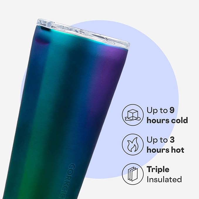 Corkcicle Classic Tumbler - Keeps Drinks Cold for 9 Hours & Hot for 3 - Triple-Insulated Stainless Steel - Holiday Tumbler Gift - 16 oz - Dragonfly