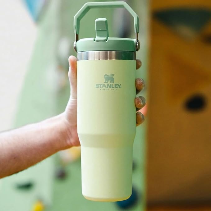 Stanley IceFlow Stainless Steel Tumbler - Vacuum Insulated Water Bottle for Home, Office or Car Reusable Cup with Straw Leak Resistant Flip Cold for 12 Hours or Iced for 2 Days