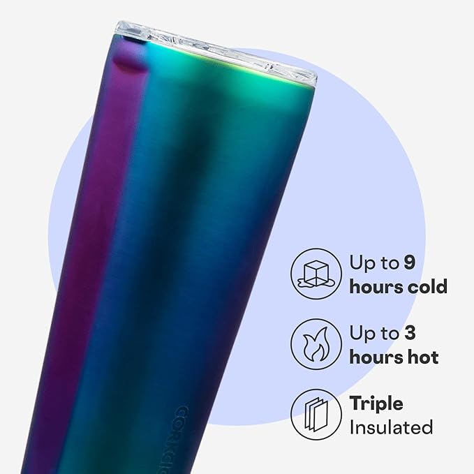 Corkcicle Classic Tumbler - Keeps Drinks Cold for 9 Hours & Hot for 3 - Triple-Insulated Stainless Steel - Holiday Tumbler Gift - 24 oz - Dragonfly