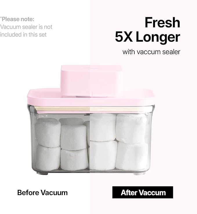 VAKUEN Premium Airtight Food Storage Containers ROSE 2.0L(2.11qt) 2P/SET, Patented Double Silicone Lining, 100% Leak Proof, BPA-FREE