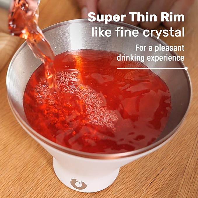 Snowfox Premium Vacuum Insulated Stainless Steel 22oz Cocktail Shaker and 4 Martini Glass Set, Home Bar Accessories, Elegant Drink Mixer, Leak Proof Lid & Built In Strainer, Gift Box, Black/Gold