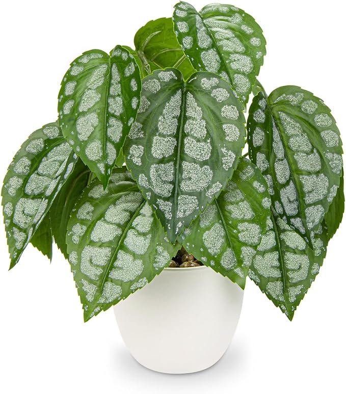 Fake Plants Small Faux Potted Plant 9.8 Inches Fake Piper Sylvaticum by GnFlus