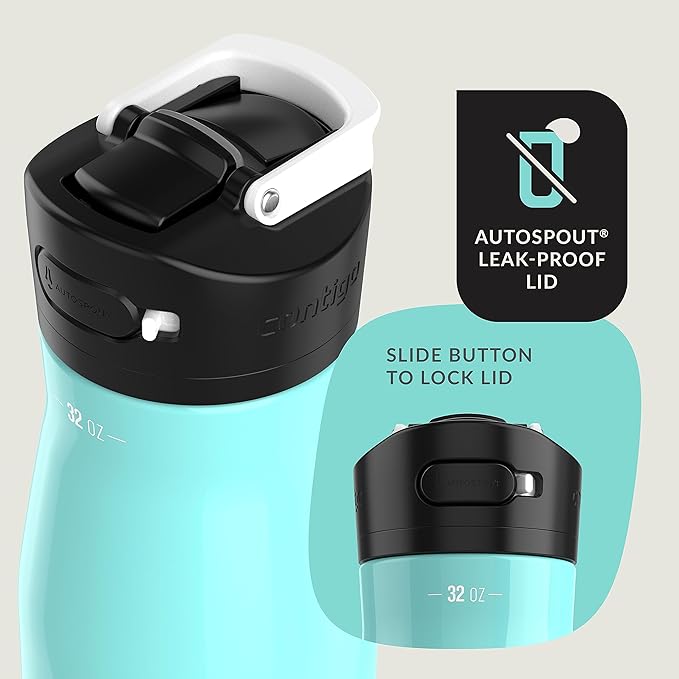Contigo Ashland Beverage Water Bottles 32oz (Pack of 1) Jade Vine