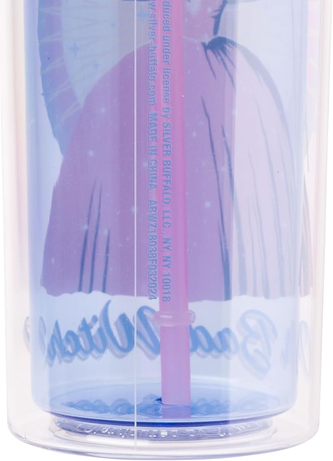 Silver Buffalo The Wizard of Oz Featuring Glinda Are You a Good Witch or a Bad Witch Plastic Tall Cold Cup with Lid and Straw, 20 Ounces
