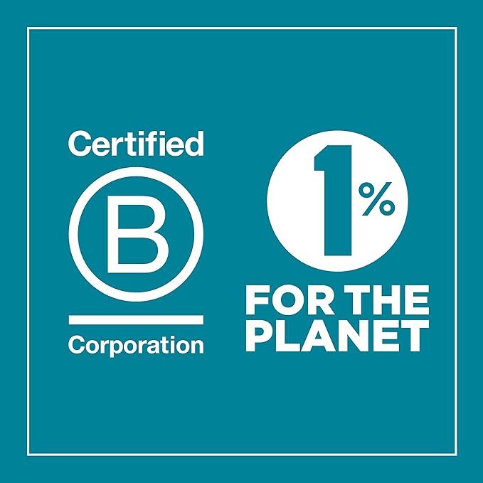 U Konserve Stainless Steel Rectangle Food Storage Bento Box Container, Leak Proof Silicone Lid Dishwasher Safe - Plastic Free, (45oz Island Teal)