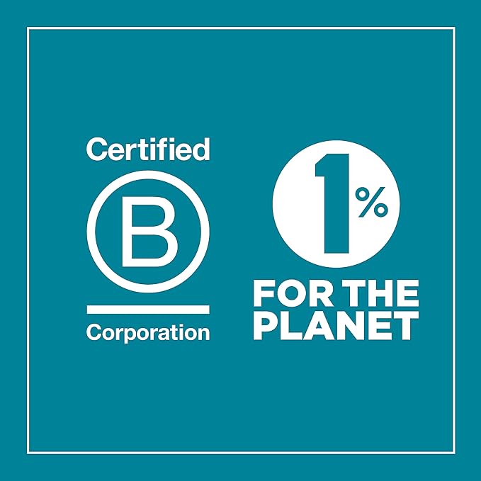 U Konserve Stainless Steel Rectangle Divided Food Storage Bento Box Container, Leak Proof Silicone Lid Dishwasher Safe - Plastic Free, (28oz Island Teal)