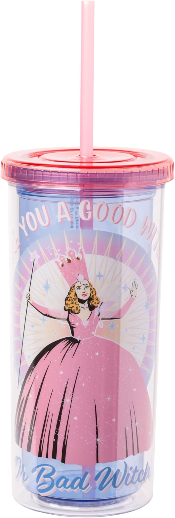 Silver Buffalo The Wizard of Oz Featuring Glinda Are You a Good Witch or a Bad Witch Plastic Tall Cold Cup with Lid and Straw, 20 Ounces (Pack of 12)