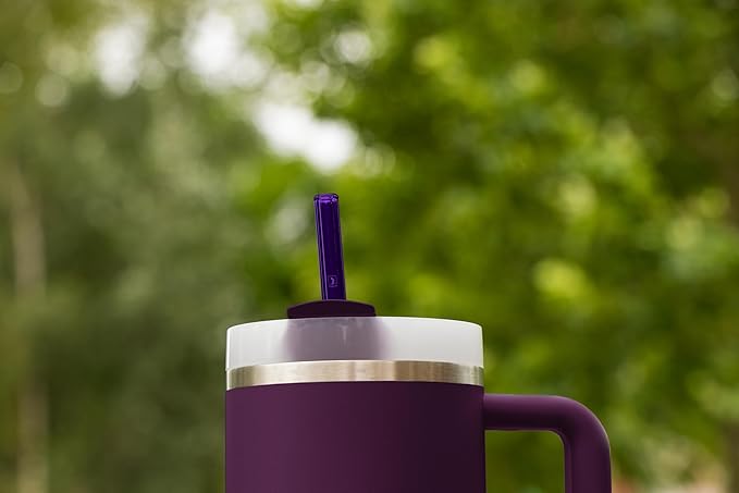 HALM Stanley Quencher Tumbler Glass Straws Purple Reusable Replacement Straws for Tumbler with Handle Stainless Steel Drinking Cup Accessory BPA-Free & Dishwasher Safe