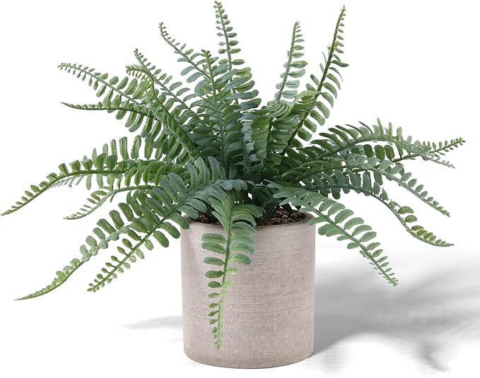 Coferset Fake Fern Small Fake Plant Fern Artificial Plants in Pot Realistic by Coferset