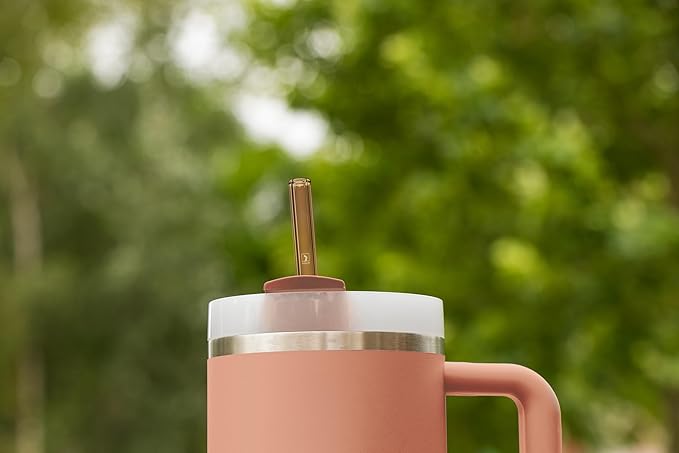 HALM Stanley Quencher Tumbler Glass Straws 3 Pastel Colors Pink Purple Orange Reusable Replacement Straws for Tumbler with Handle Stainless Steel Drinking Cup Accessory BPA-Free & Dishwasher Safe