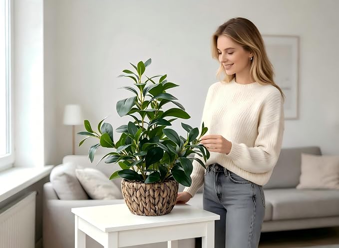 AlphaAcc 18.8 Inch Artificial Ficus Plant Indoor Faux Greenery Potted in Rattan - Image 3