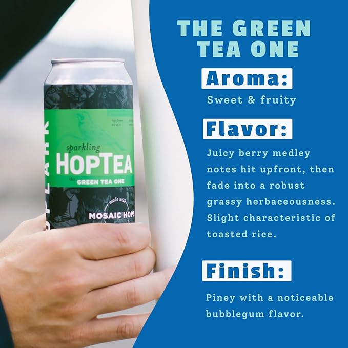 HOPLARK Sparkling HopTea – Mosaic Hops and Sparkling Green Tea – Unsweetened – Zero Calorie – Caffeinated Sparkling Tea in 12 Pack 16oz Cans – A Bold Sip for the Curious - The Green Tea One