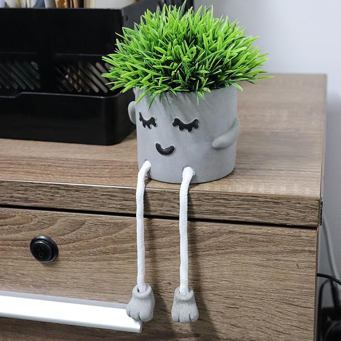 MAKHOT Set of 2 Artificial Succulent Plants in Pots, Fake Plant Faux Succulents - Image 4
