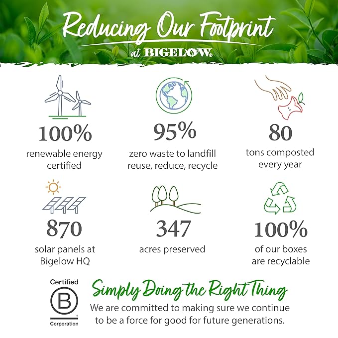 Bigelow Benefits Stress Free Rose & Mint Herbal Tea, Caffeine Free, 18 Count (Pack of 6), 108 Total Tea Bags