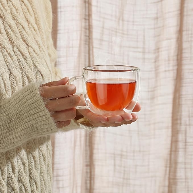 CNGLASS Double Wall Glass Cappuccino Mugs 8.1oz,Clear Insulated Glass Coffee Mug with Handle for Espresso,Latte,Tea,Set of 2