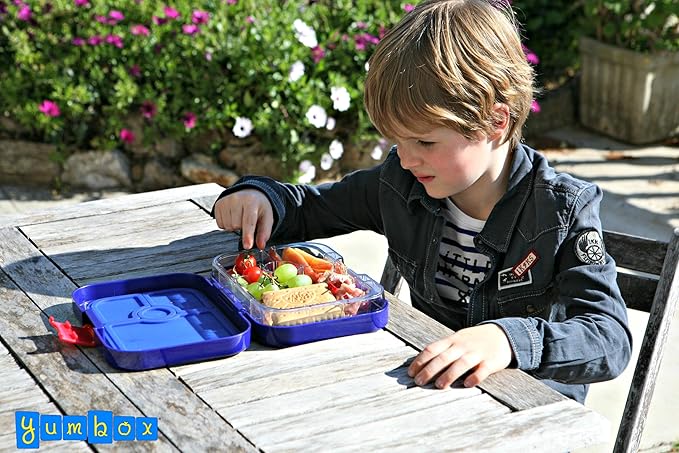 Yumbox Panino Leakproof Bento Lunch Box Container for Kids & Adults (Surf Blue Shark)