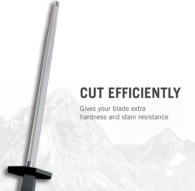 Victorinox Honing Steel Black Plastic Handle, 10-Inch, Combination Cut (40582)
